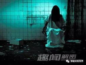 娱乐吃瓜酱鬼屋给钱,揭秘神秘鬼屋背后的惊悚故事与神秘财富  第3张