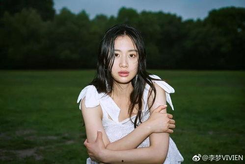 李梦爆料视频大全最新消息,揭秘背后惊人真相  第3张