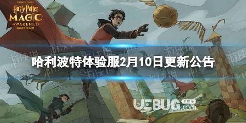 哈利波特2月最新爆料,神秘事件再起，最新爆料揭示神秘力量  第2张