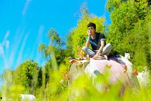 曾舜晞爆料最新动态视频,揭秘幕后故事与精彩瞬间  第2张