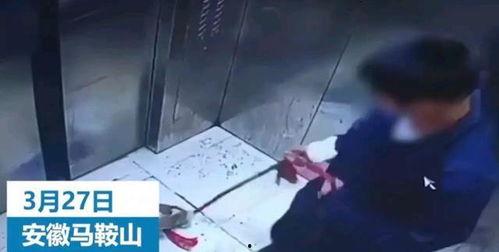 辽宁男孩爆料视频大全,揭秘真实校园生活 第2张 辽宁男孩爆料视频大全,揭秘真实校园生活 第2张