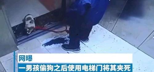 辽宁男孩爆料视频大全,揭秘真实校园生活 第3张 辽宁男孩爆料视频大全,揭秘真实校园生活 第3张