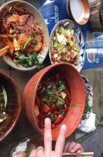 农家菜被爆料怎么办视频,揭秘背后真相与应对策略