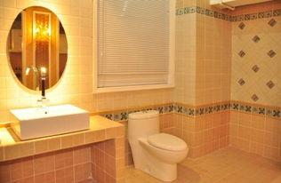 马桶最新八卦爆料,揭秘娱乐圈最新马桶门事件