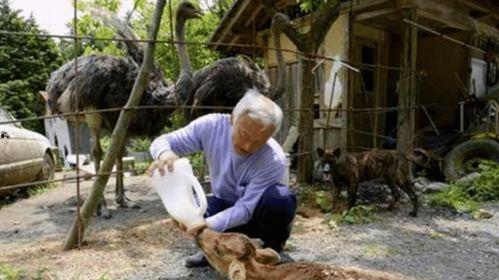 最新爆料六图极寒辐射区,极寒辐射区神秘面纱背后的惊人真相” 第2张 最新爆料六图极寒辐射区,极寒辐射区神秘面纱背后的惊人真相” 第2张