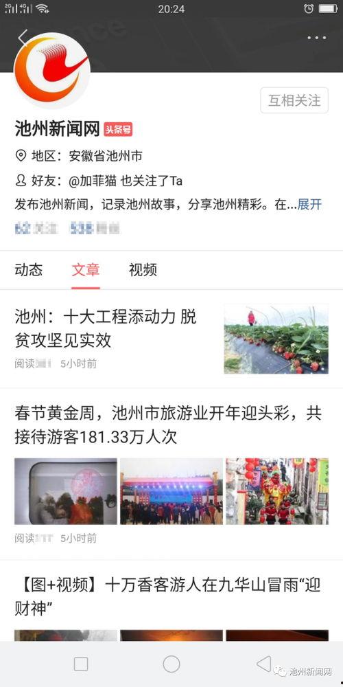 头条号新闻爆料热线,揭秘社会热点背后的真相