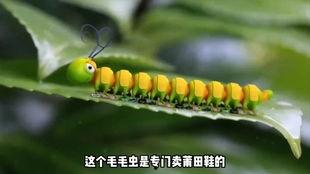 娱乐吃瓜酱毛毛虫,揭秘娱乐圈那些不为人知的幕后故事 第3张 娱乐吃瓜酱毛毛虫,揭秘娱乐圈那些不为人知的幕后故事 第3张