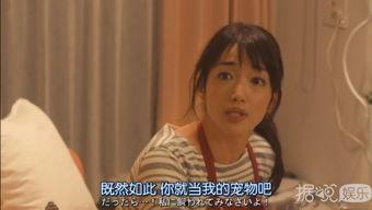 日剧宠物情人在线观看,治愈系宠物情缘,温馨治愈每一刻 第3张 日剧宠物情人在线观看,治愈系宠物情缘,温馨治愈每一刻 第3张