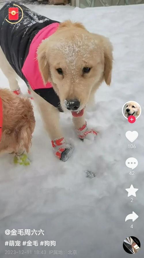 周海媚知情人爆料视频,独家视频揭秘幕后真相 第2张 周海媚知情人爆料视频,独家视频揭秘幕后真相 第2张