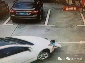 深圳车友张先生爆料视频,一视频揭露城市交通新现象 第3张 深圳车友张先生爆料视频,一视频揭露城市交通新现象 第3张