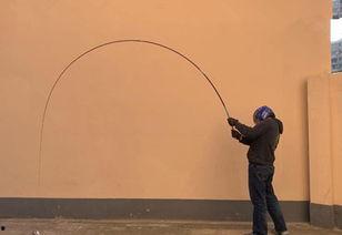 科学钓鱼爆料视频下载,揭秘视频背后的下载技巧与奥秘