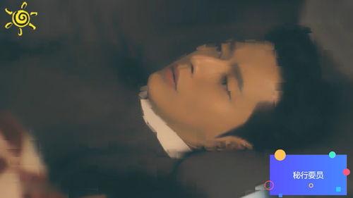 密行要员在线观看,揭秘神秘特工的在线惊险之旅 第2张 密行要员在线观看,揭秘神秘特工的在线惊险之旅 第2张