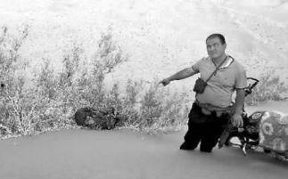 最新沙漠爆料消息新闻,最新爆料揭示神秘沙漠现象 第3张 最新沙漠爆料消息新闻,最新爆料揭示神秘沙漠现象 第3张