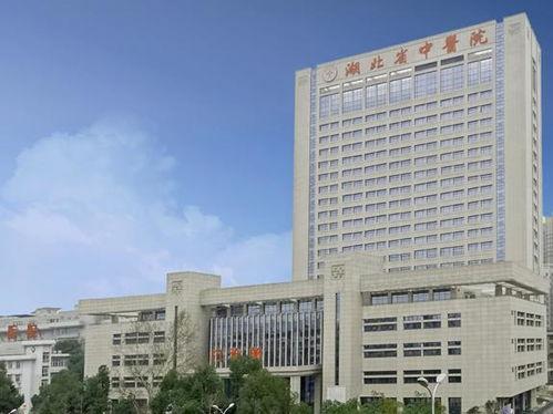 湖北省中医院爆料信息最新,揭秘医院改革与发展新篇章 第2张 湖北省中医院爆料信息最新,揭秘医院改革与发展新篇章 第2张
