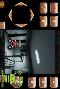 寂静岭2手机在线观看,手机惊悚之旅，在线揭秘恐怖深渊