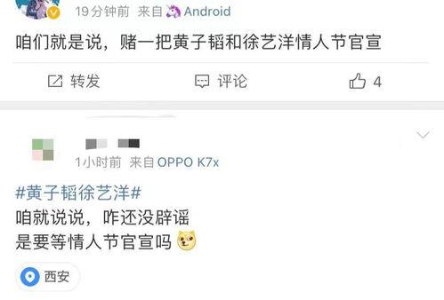 娱乐圈各种微信爆料小说,揭秘明星背后的秘密与真相