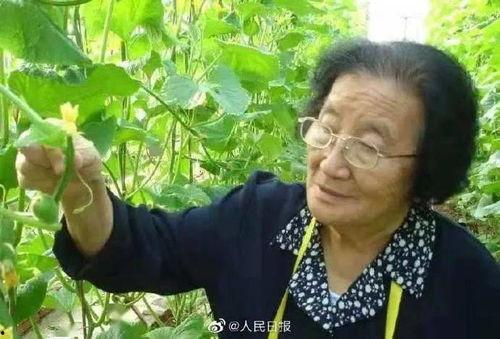 娱乐吃瓜酱中华文化,解码中华文化中的趣味与智慧  第2张