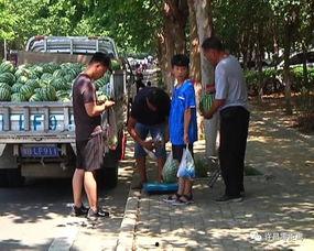 泗阳网红街吃瓜群众视频,吃瓜群众视角下的街头热辣瞬间