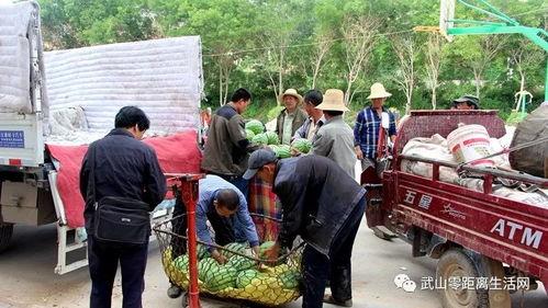 泗阳网红街吃瓜群众视频,吃瓜群众视角下的街头热辣瞬间 第2张 泗阳网红街吃瓜群众视频,吃瓜群众视角下的街头热辣瞬间 第2张