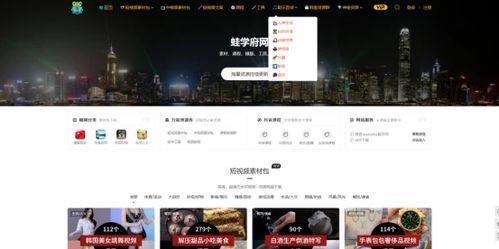 爆料篇视频素材下载,视频素材背后的故事与真相