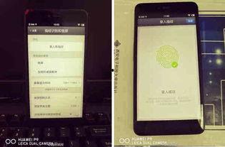 老罗爆料 苹果视频大全,苹果视频大全背后的秘密与亮点 第2张 老罗爆料 苹果视频大全,苹果视频大全背后的秘密与亮点 第2张