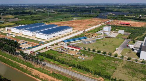 遂溪新闻爆料热线,聚焦民生，倾听民意  第3张