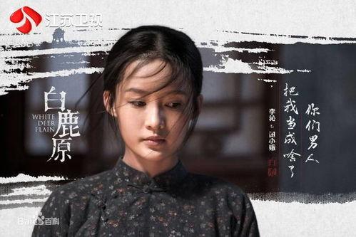 白鹿原电视剧全集在线观看不卡网,重温经典,感受历史沧桑 第2张 白鹿原电视剧全集在线观看不卡网,重温经典,感受历史沧桑 第2张