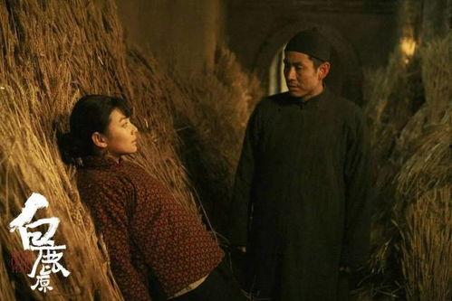 白鹿原电视剧全集在线观看不卡网,重温经典,感受历史沧桑 第3张 白鹿原电视剧全集在线观看不卡网,重温经典,感受历史沧桑 第3张