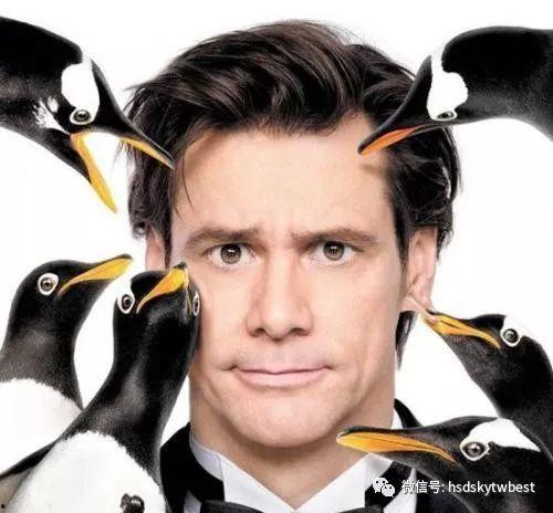 波普先生的企鹅在线观看,在线观看之旅，探寻奇幻企鹅世界的魅力