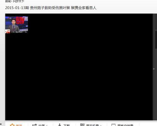 官方爆料口播视频大全免费观看,免费观看，揭秘幕后真相