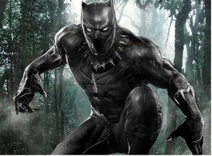 黑豹皮肤爆料视频网址,神秘网址揭示全新游戏体验 第3张 黑豹皮肤爆料视频网址,神秘网址揭示全新游戏体验 第3张