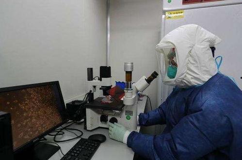 外国爆料病毒视频,外国爆料视频揭示惊人内幕  第2张