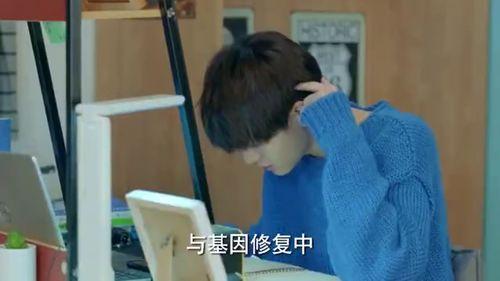 橘生淮南在线观看免费观看,免费在线观看，穿越时空的奇幻之旅