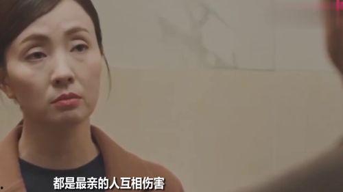 陶虹爆料黄磊完整视频,完整视频曝光惊人内幕