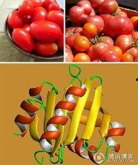 谁爆料了转基因食品呢视频,是谁首次曝光了这一争议话题？