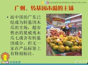 谁爆料了转基因食品呢视频,是谁首次曝光了这一争议话题? 第2张 谁爆料了转基因食品呢视频,是谁首次曝光了这一争议话题? 第2张