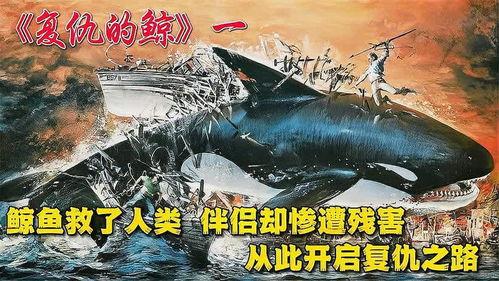 复仇的鲸在线观看,深海复仇记 第2张 复仇的鲸在线观看,深海复仇记 第2张