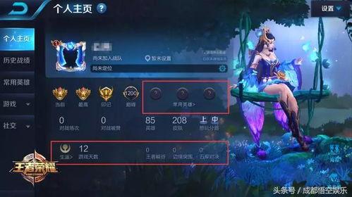 王者爆料视频一般星期几出,揭秘星期几出生的神秘英雄! 第2张 王者爆料视频一般星期几出,揭秘星期几出生的神秘英雄! 第2张