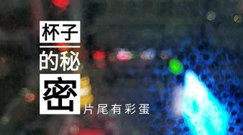 常州饭店爆料视频最新版,揭露惊人内幕，真相令人震惊！  第3张