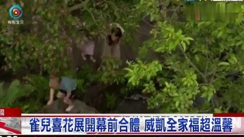 英国小王子爆料视频大全,揭秘王室生活点滴