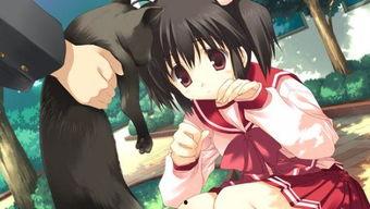 hearttoheart在线观看,在线观看情感共鸣之旅 第3张 hearttoheart在线观看,在线观看情感共鸣之旅 第3张