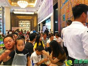 邯郸恒大最新爆料,揭秘项目神秘面纱，品质生活即将绽放