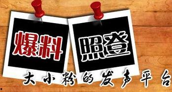 怎么爆料当地新闻,如何有效爆料当地新闻