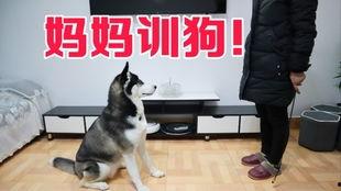 狗哥爆料新鞋视频大全图片,新鞋视频大全图片大放送！  第2张