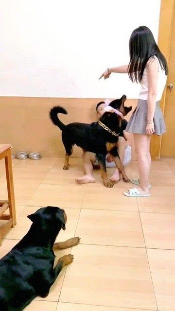 狗哥爆料新鞋视频大全图片,新鞋视频大全图片大放送！  第3张