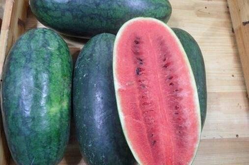 青岛网红戈优吃瓜,吃瓜群众的美食探险记 第2张 青岛网红戈优吃瓜,吃瓜群众的美食探险记 第2张