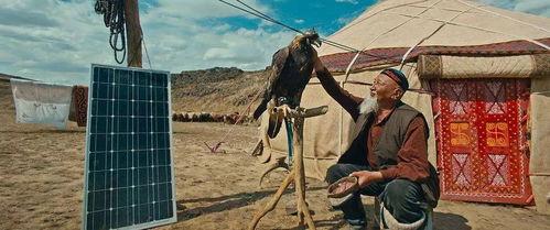 远去的牧歌爆料视频下载,揭秘爆料视频背后的故事与真相 第2张 远去的牧歌爆料视频下载,揭秘爆料视频背后的故事与真相 第2张