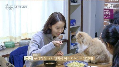 孝利家民宿2在线观看,续写田园生活,共度美好时光 第3张 孝利家民宿2在线观看,续写田园生活,共度美好时光 第3张