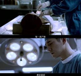 诡异吃瓜全文免费阅读,揭秘神秘事件背后的真相