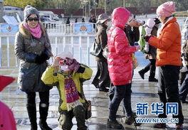 西藏旅游团爆料视频最新